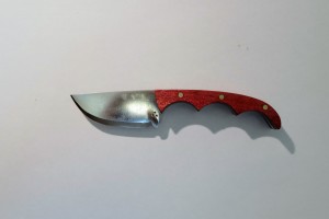DSCF4971