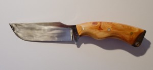 DSCF5183