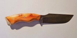 DSCF5186