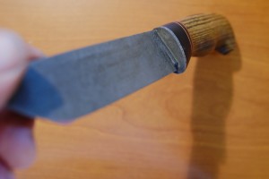 DSCF5295